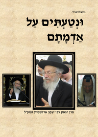 תמונה ממוזערת של אור מופלא